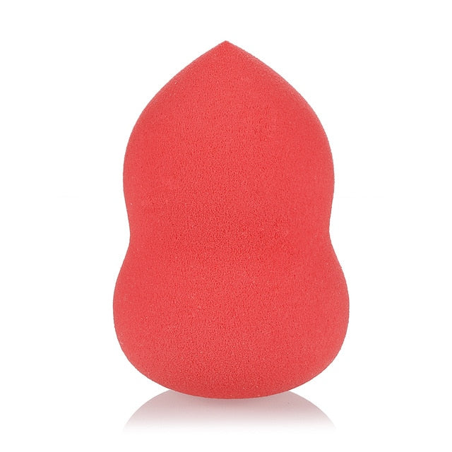 Foundation Sponge