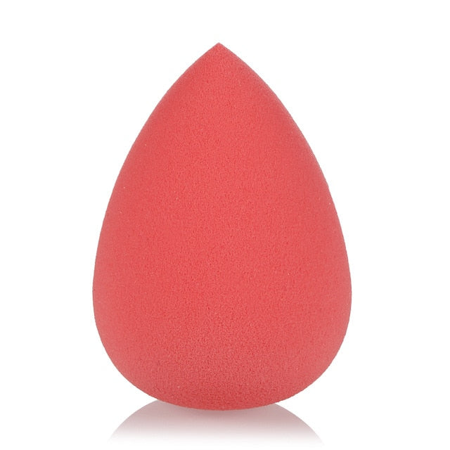 Foundation Sponge